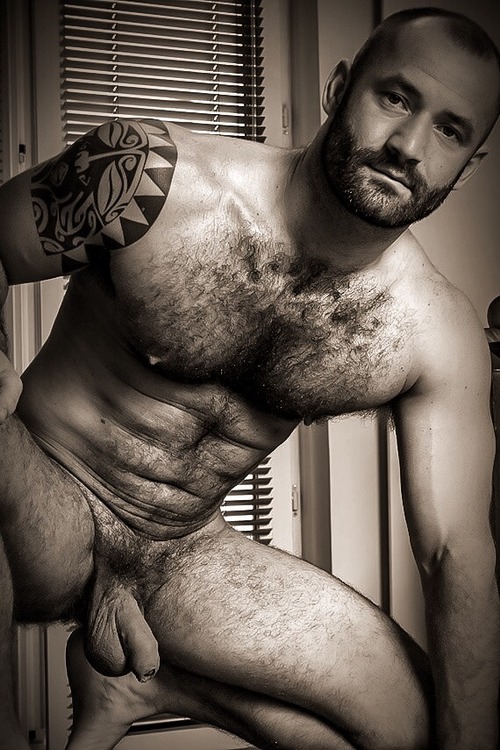 Hairy men gay