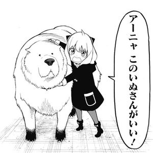 Emil Enos スパイファミリー のアーニャとボンドみたいだとホッコリしました