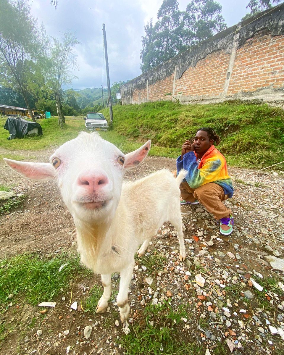 DON TOLIVER tweet media