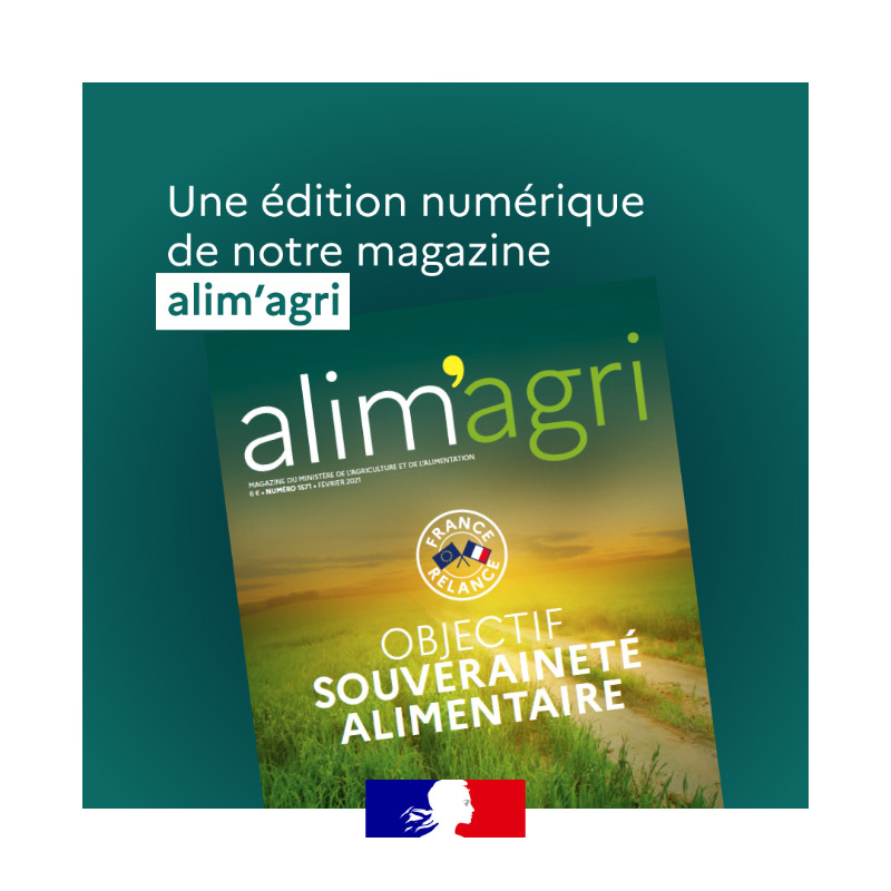 Agri_Gouv's tweet photo. Invitez l'agriculture dans votre salon à l'occasion de cette semaine spéciale "Célébrons nos agriculteurs" ! Magazine, vidéos, exposition photos, site #FraisEtLocal, retrouvez toutes les infos dans notre dossier de presse 👉 https://t.co/UVZhJ4LYx2