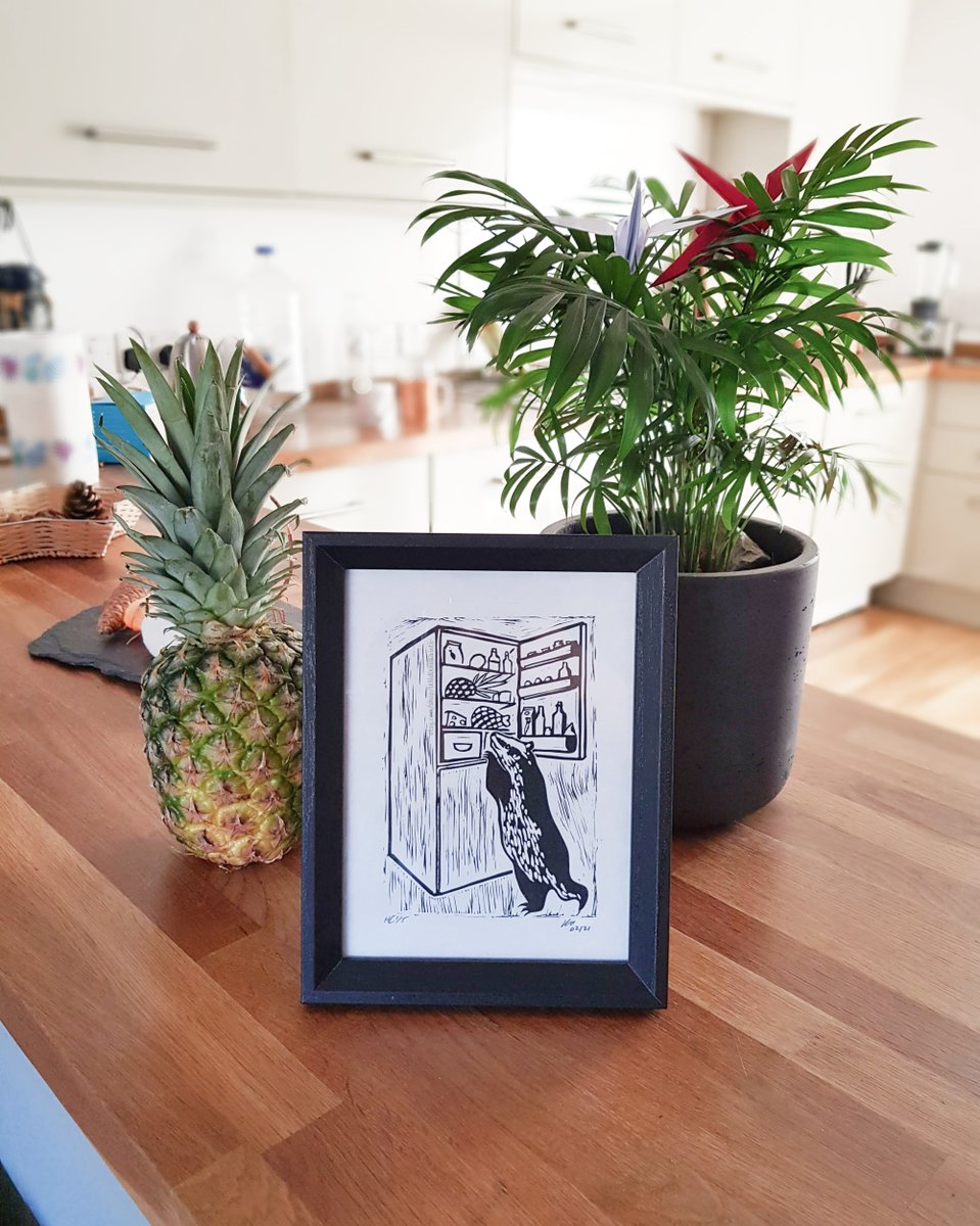 Black and white linocut print of a badger peering into a fridge