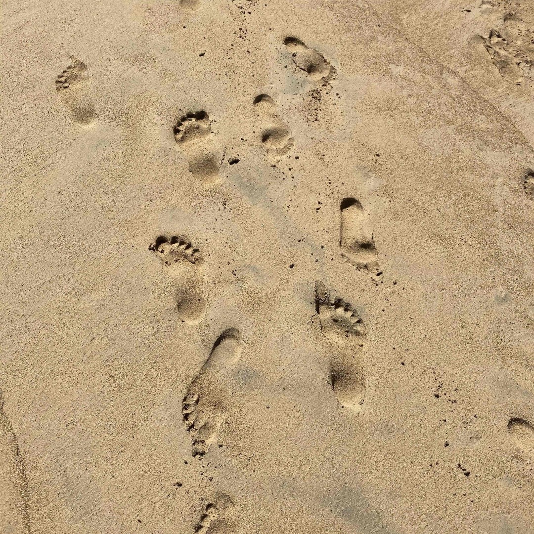 MoonCrushLive (@mooncrushlive) on Twitter photo Out for an afternoon stroll? Headed over to the show? Either way, we're getting closer and closer to toes in the sand at <a href="/MoonCrushLive/">MoonCrushLive</a>! Learn more at mooncrush.live #mooncrush Out for an afternoon stroll? Headed over to the show? Either way, we're getting closer and closer to toes in the sand at <a href="/MoonCrushLive/">MoonCrushLive</a>! Learn more at mooncrush.live #mooncrush