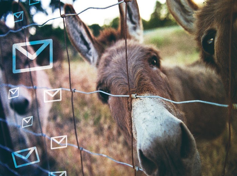 Don’t Forget to Wash Your Mule (and to download the New ‘2021 Email Hygiene and Verification Trends and Benchmarks Report’)

hubs.la/H0HBHfH0 

By @Kmagill 

#email #emailmarketing #emailgeeks #emailbenchmarks