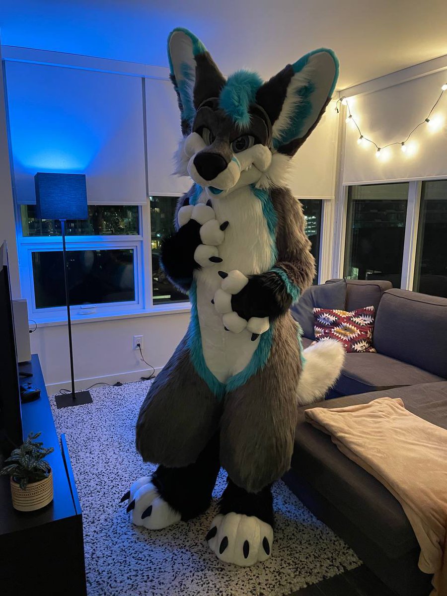 Dex 🐾✨ tweet media