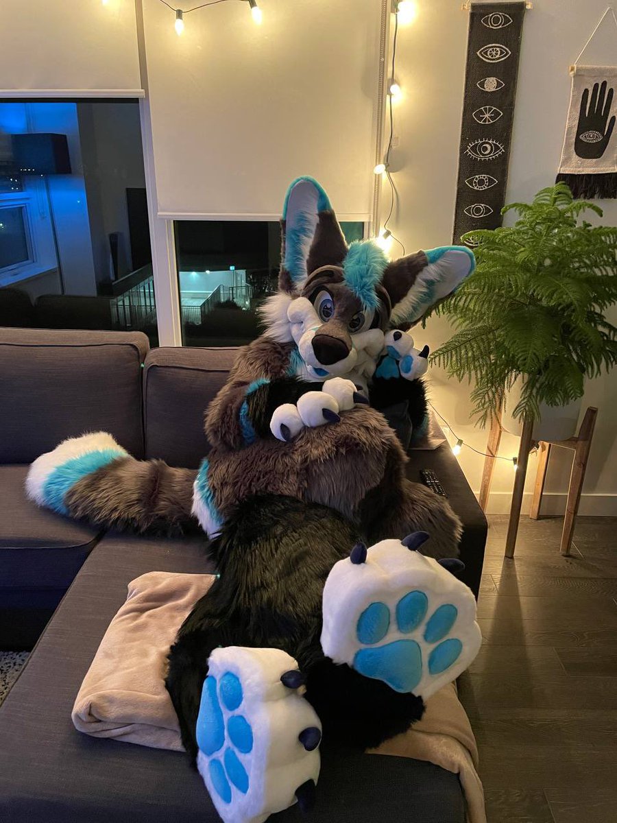 Dex 🐾✨ tweet media