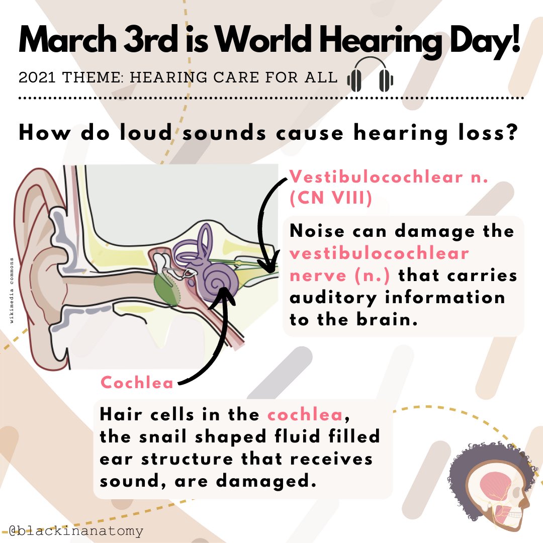 #WorldHearingDay 

Only 2% of @ASHAWeb members that are certified #audiologists self-identified as Black or African-American

But hearing loss is the 3rd most chronic health condition

50% of 12-35yo may listen to unsafe sound levels through headphones
#safelistening 🎵