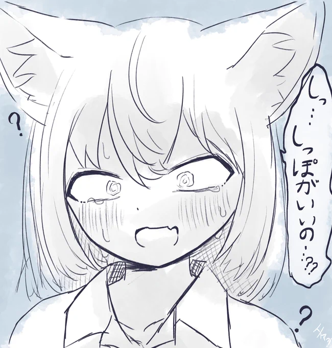 https://t.co/KWDf8xrK4p 