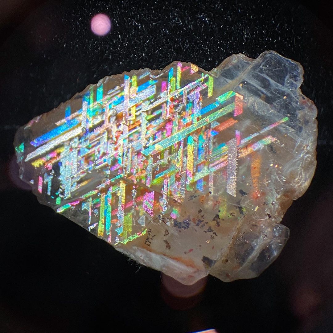 GeologyTime's tweet photo. Rainbow Lattice Sunstone from Mud Tank, Northern Territory, Australia.

Credit: Geologic Gallery | Boutique

#minerals #crystals https://t.co/PcaCVhB2JK