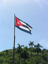 Alza tu voz, Bonifacio.
Sí, mi bandera es aquella
en la que brilla una estrella, 
libre y radiante en su espacio. 
Alza tu voz, que el mendacio 
de bufones en jauría 
no opaca tu poesía; 
alza tu voz, sin injertos,
que a mi bandera los muertos 
la defienden todavía.