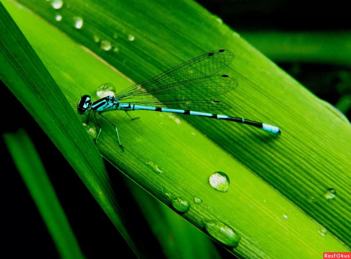 Macro photography of nature📷❤✌
#NaturePhotography
#Macro
#photography