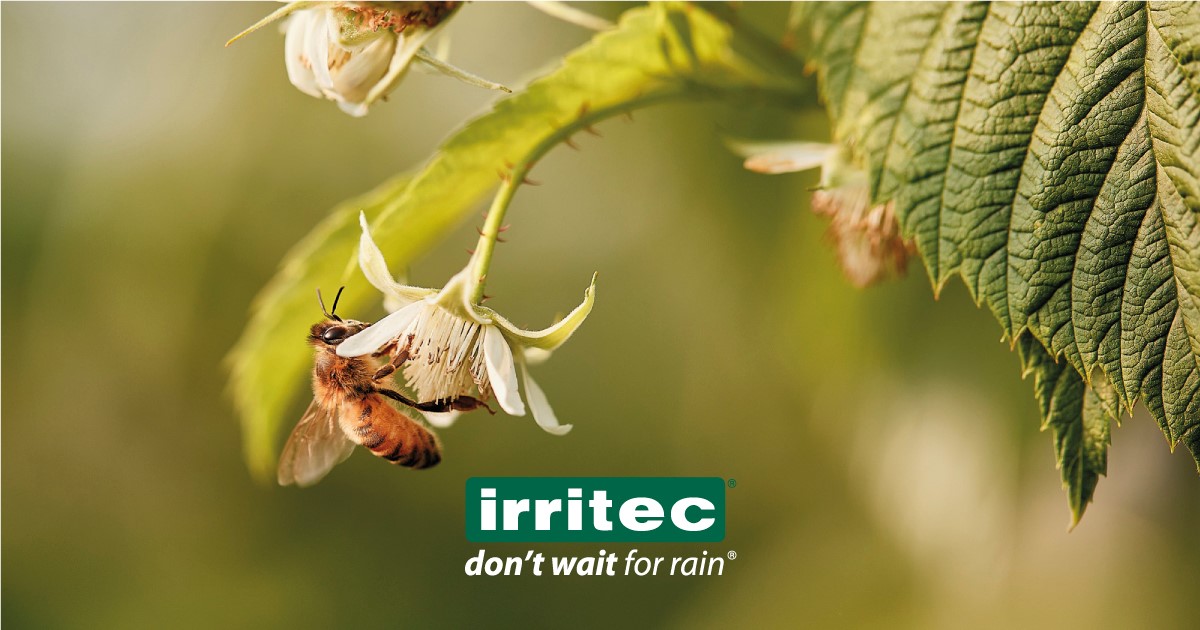#Biodiversity is the greatest treasure we have… Its diminishment is to be prevented at all cost.  
Thomas Eisner

Our inspiration comes from #Irritec's deep commitment to preserving nature in all its forms through sustainable #irrigationsystems

#WorldBiodiversityDay
