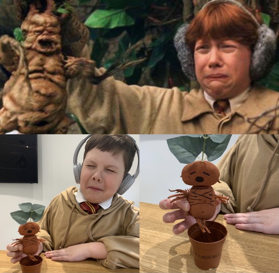 moorparkps's tweet photo. An early World Book Day post from L in P5. What an amazing mandrake he has made from a painted potato! 10 house points for Gryffindor ⭐️🪄🧙‍♂️ https://t.co/Z4ZilIdYia