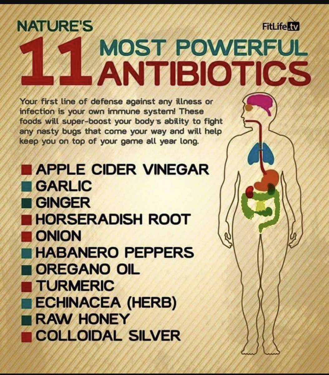 OPrepared's tweet image. Good immune system builders. Start getting healthy at home.
#OzarksPrepared #Prepper #Shtf #Prepper #Bushcraft #Survival #FoodStorage #BugOutBag #GetHomeBag #Nature #Adventure #DIY #prepperfoodstorage #foodstorage