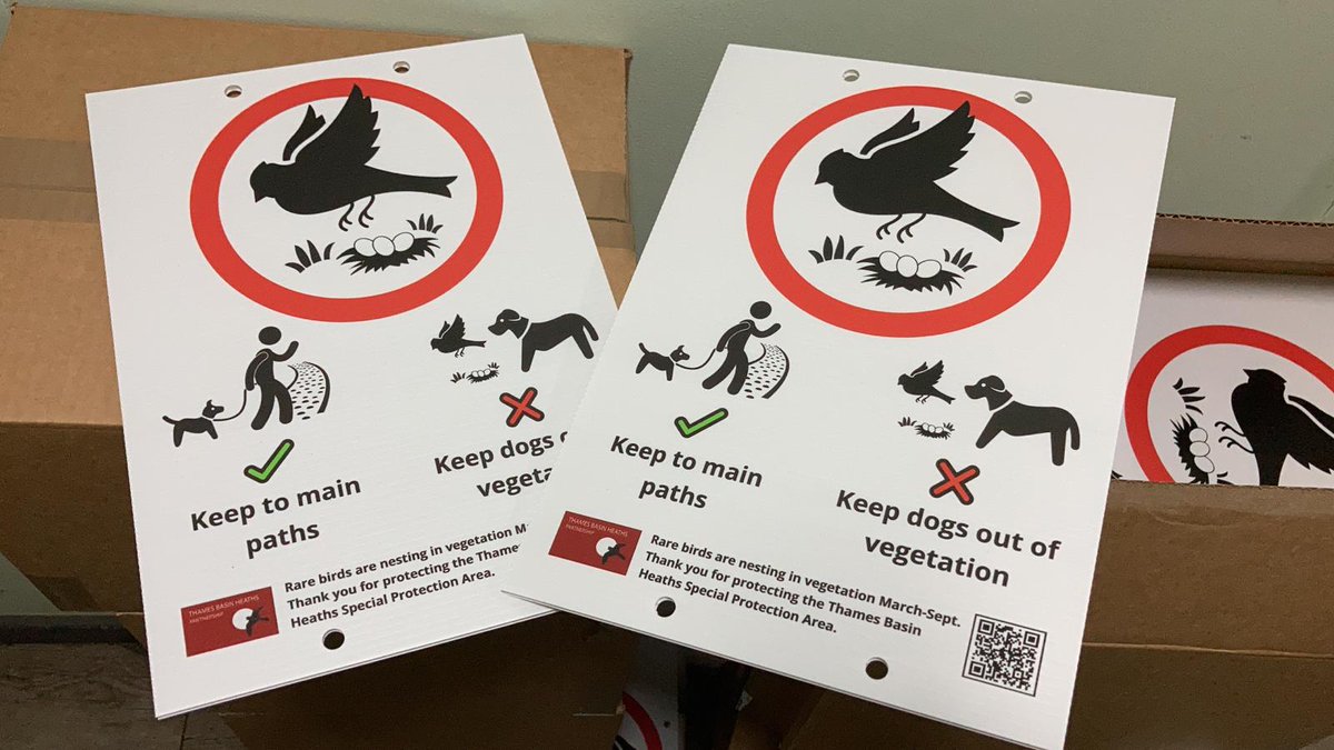 We've just taken delivery of our shiny new #GroundNestingBirds signs. We'll be putting these out across the #ThamesBasinHeaths #SpecialProtectionArea to help everyone enjoy their visit without disturbing wildlife 😀

#PawsOnPathsPlease