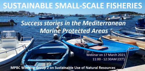Join this webinar on success stories about #smallscalefisheries in #MPAs happening on 17 March. Find more info: buff.ly/3bcBoQl