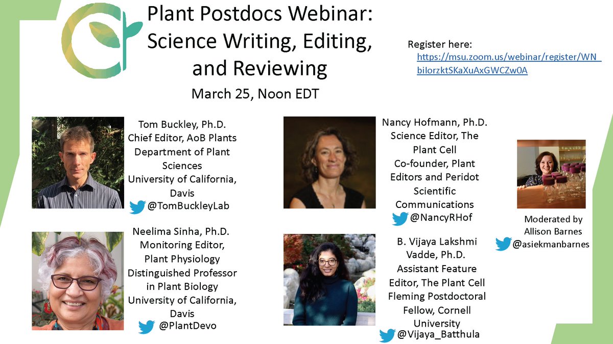 plantpostdocs's tweet image. Registration is now open for our 5th #PlantPostdocs Webinar! Science Writing, Editing, and Reviewing will take place on March 25 at Noon EDT. Featuring @TomBuckleyLab @NancyRHof @PlantDevo and @Vijaya_Batthula. Moderated by @asiekmanbarnes. Register here: msu.zoom.us/webinar/regist…