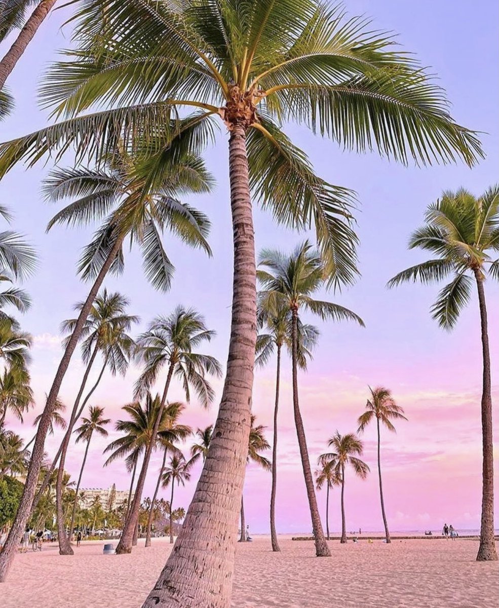 Good Morning Everyone! We are halfway through the week! 🙌🏽 Mentally this is where I’m pretending to be! 🤣 #waikikibeach #Oahu #myfavoriteplace #beachlife #goingback