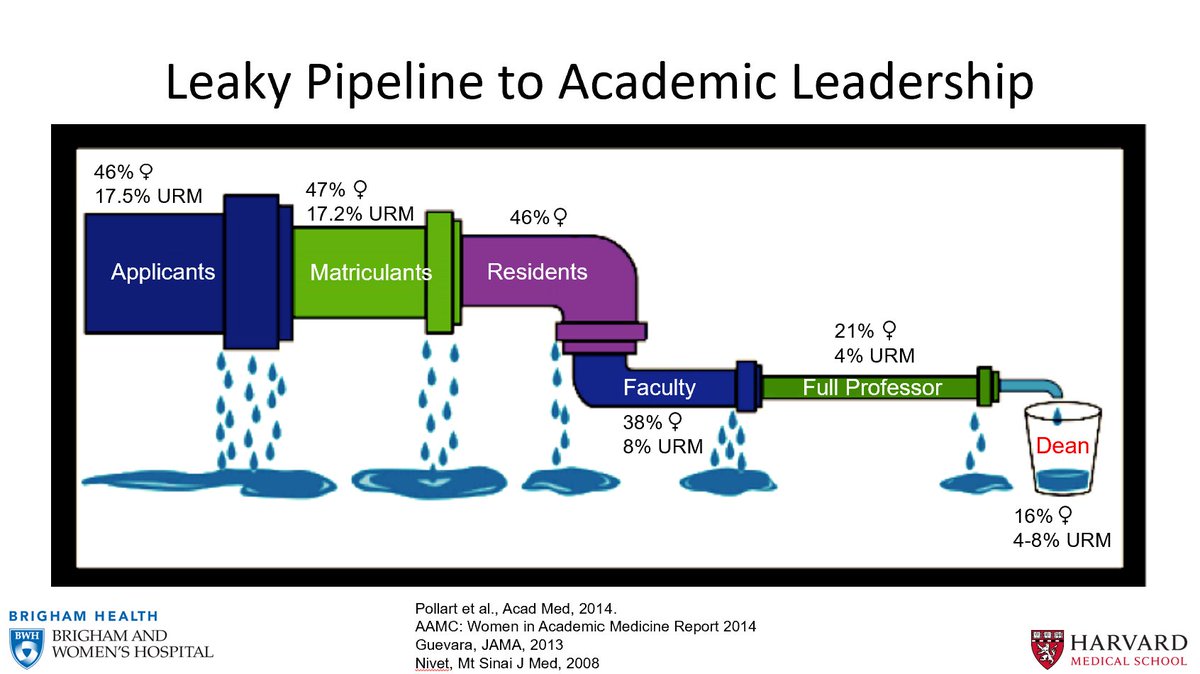 GopherPMR's tweet photo. The discussion should continue. Thanks to @Sarah_Mahasin for bringing this article to journal club today. The leaky pipeline here by @harvardmed is real. Stopping the drips takes intentional effort and mitigating any implicit bias.

@dr_escalon 
@MVGutierrezMD 
@JulieSilverMD https://t.co/TczQQ9iLSA