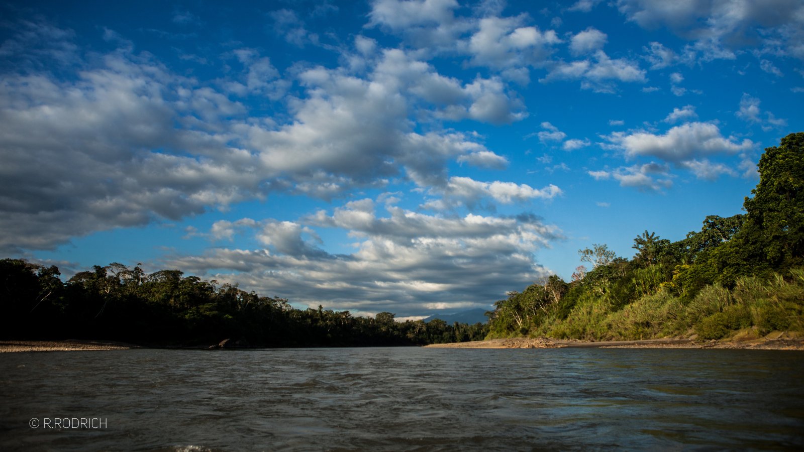 Amazonía