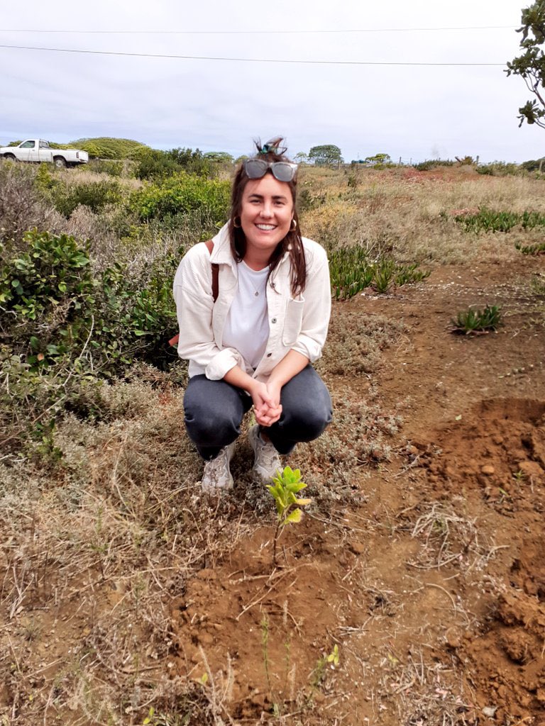 Here’s former half of #StHelenaPO @ficamps planting a tree earlier this year at the 20 Years of #MillenniumForest celebration dedicated to the #CommunityService team who work hard to support the great work being done at the forest! #StHelena #probation #workingtogether