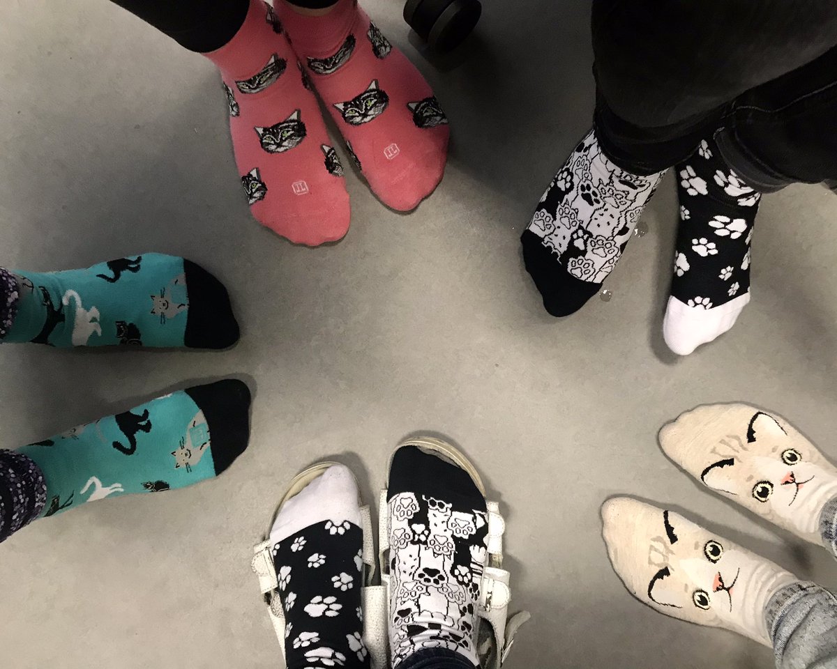 Marta Siborova tweet media