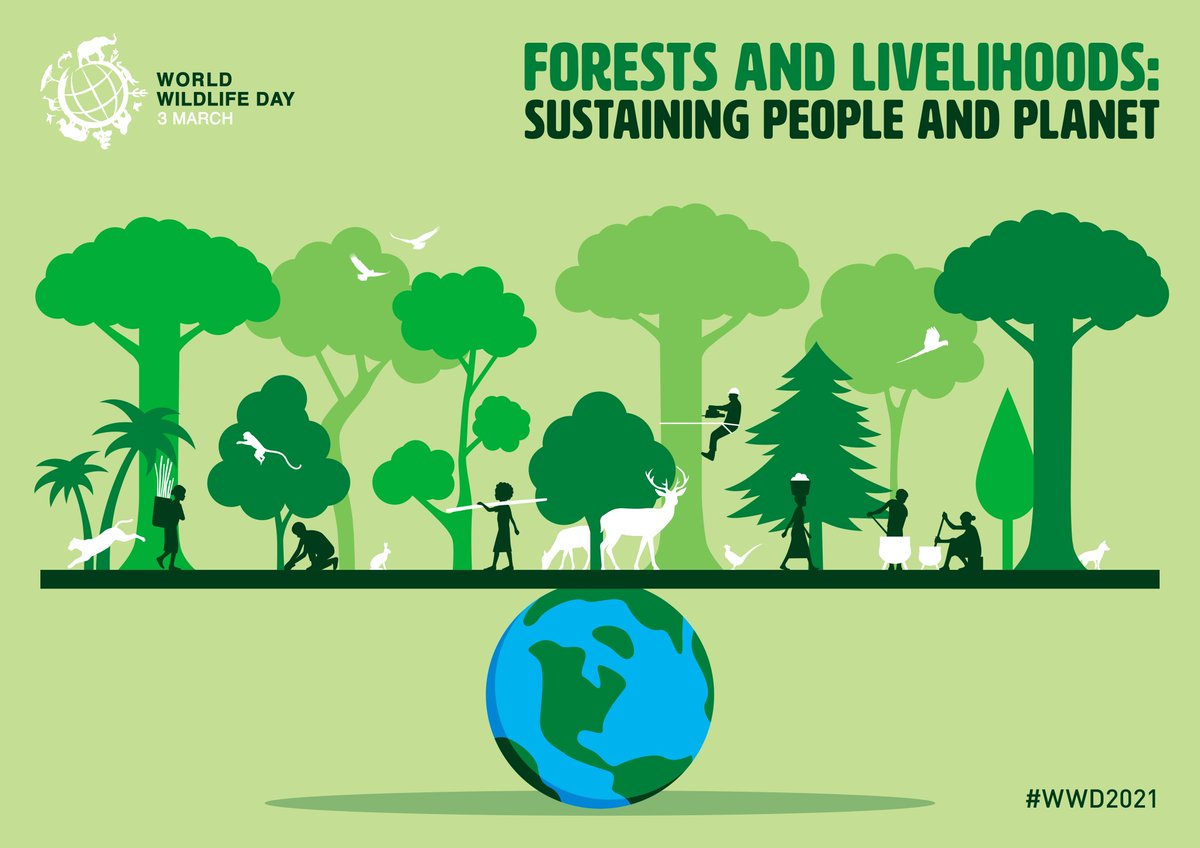 Happy #WorldWildlifeDay!🌲🌍

Insects are fundamental for natural food webs, contributing to a harmonious equilibrium between different trophic levels.

Based on circular practices, #insectfarming🐛🦗requires less arable land therefore reducing pressure on natural resources.

1/2