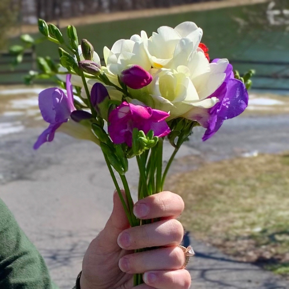 WeaversOrchard's tweet photo. The first flowers of Spring are in! 🌸💐

We have bouquets of both snapdragons and freesia from Barnard Greenhouse available in our market! 

#spring #springflowers #snapdragons #freesia #flowers #bouquets #freshflowers #orchard #farmmarket https://t.co/QnQruneZlW