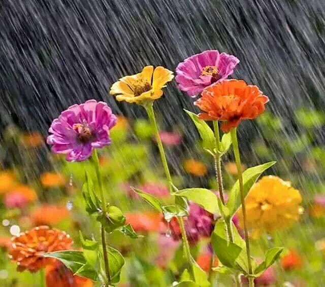 "نحنُ لبعضنا أرزاق"  اللهم سخرلي من الناس أخيرهم و أطيبهم و أنقاهم ، وسخر لي الارض و من عليها و من الاقدار أجملها يارب"