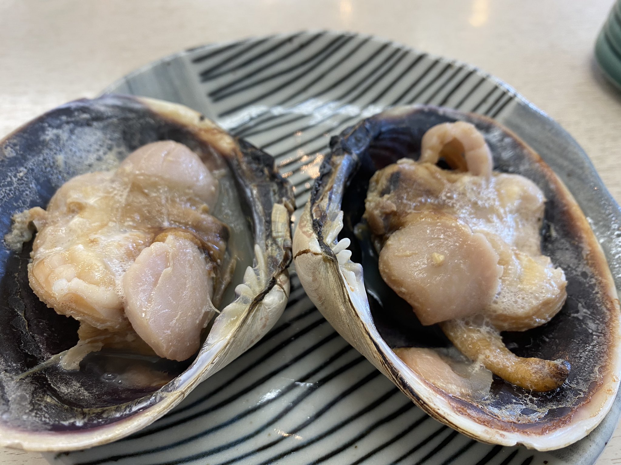 正式名称はウチムラサキ貝 Twitter Search Twitter