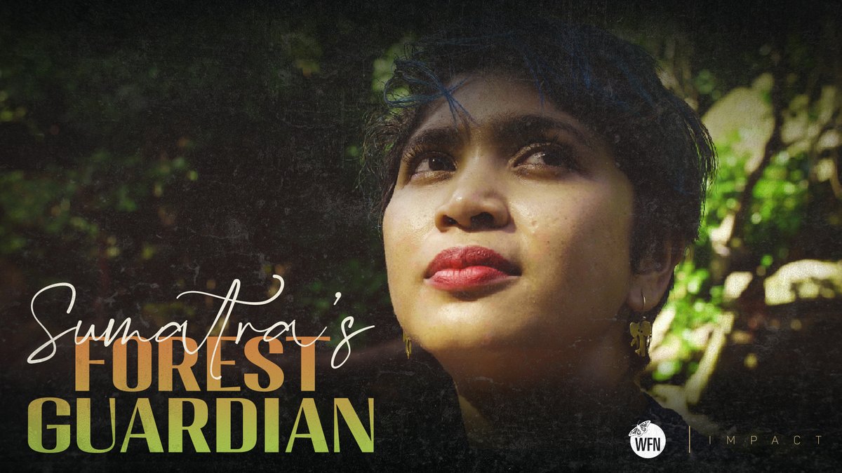 WhitleyAwards's tweet photo. Have you seen the short film about @wiiiiza and her efforts to give local people a seat at the national policy table?
She's using #ContinuationFunding to help communities bring citizen lawsuits against deforestation.
Watch it via our friends @wbnofficial https://t.co/2JhId630v3 https://t.co/WCIXAKm8On
