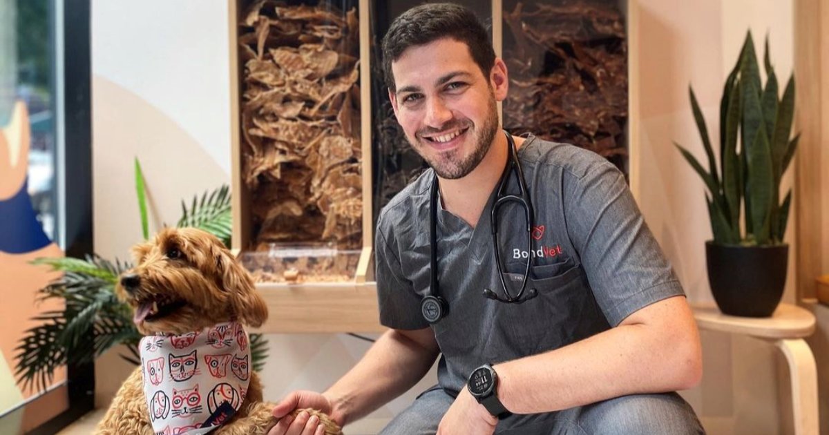 Introducing our 1st Vet Show Spotlight submission winner, Dr. Jeremy Kimmelstiel! Read our latest blog to learn why one <a href="/BondVetClinic/">Bond Vet Clinic</a> team member called him "an exceptional human being and a credit to [the] profession." 👉 us.vetshow.com/latestnews/vet… 

(March nominations are open!)