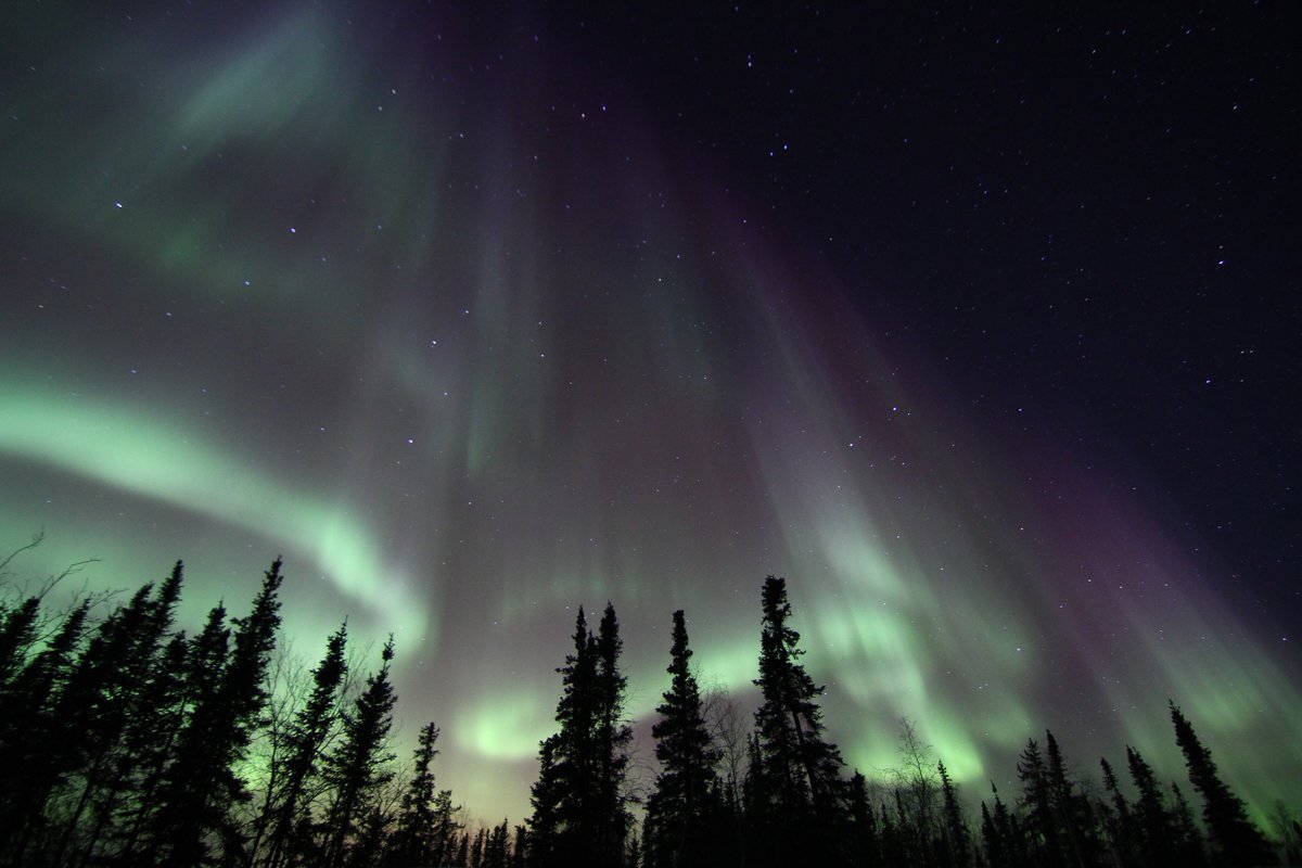 DAILY AURORA FLASHBACK
📷Photo Taken: 10th March 2011

-----------
#AuroraVillage20Years #VirtuallyYours #DestinationIndigenous #spectacularnwt #explorecanada 
----------