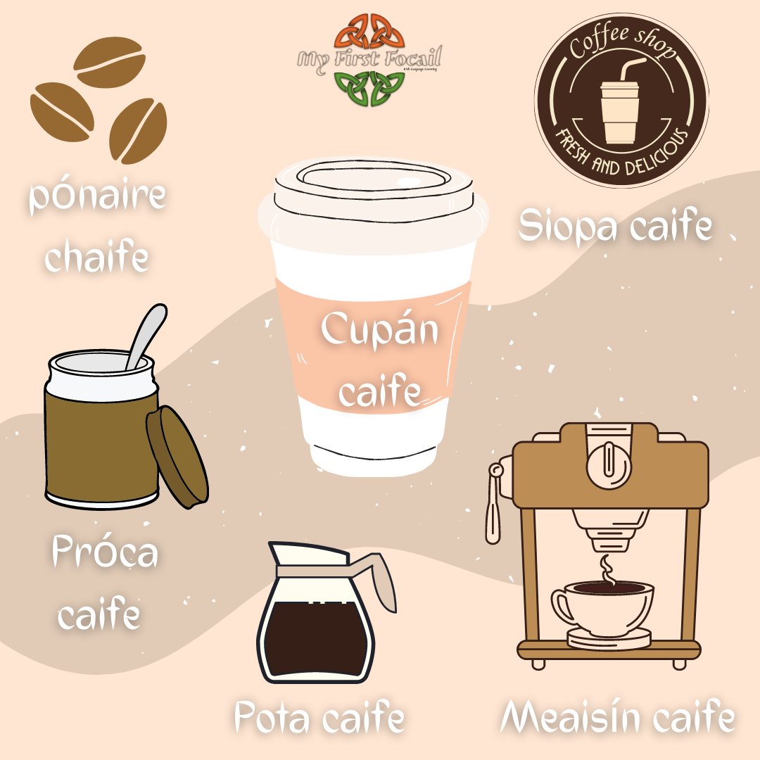 MFocail's tweet photo. An bhfuil aon chaife ar fáil?⁠
(Is there any coffee going?)☕⁠ #learning #Gaeilge #SnaG21 #Gaeltacht #Irish #Irishlanguage #Focal #Learnirish https://t.co/Uv18rr9qd4