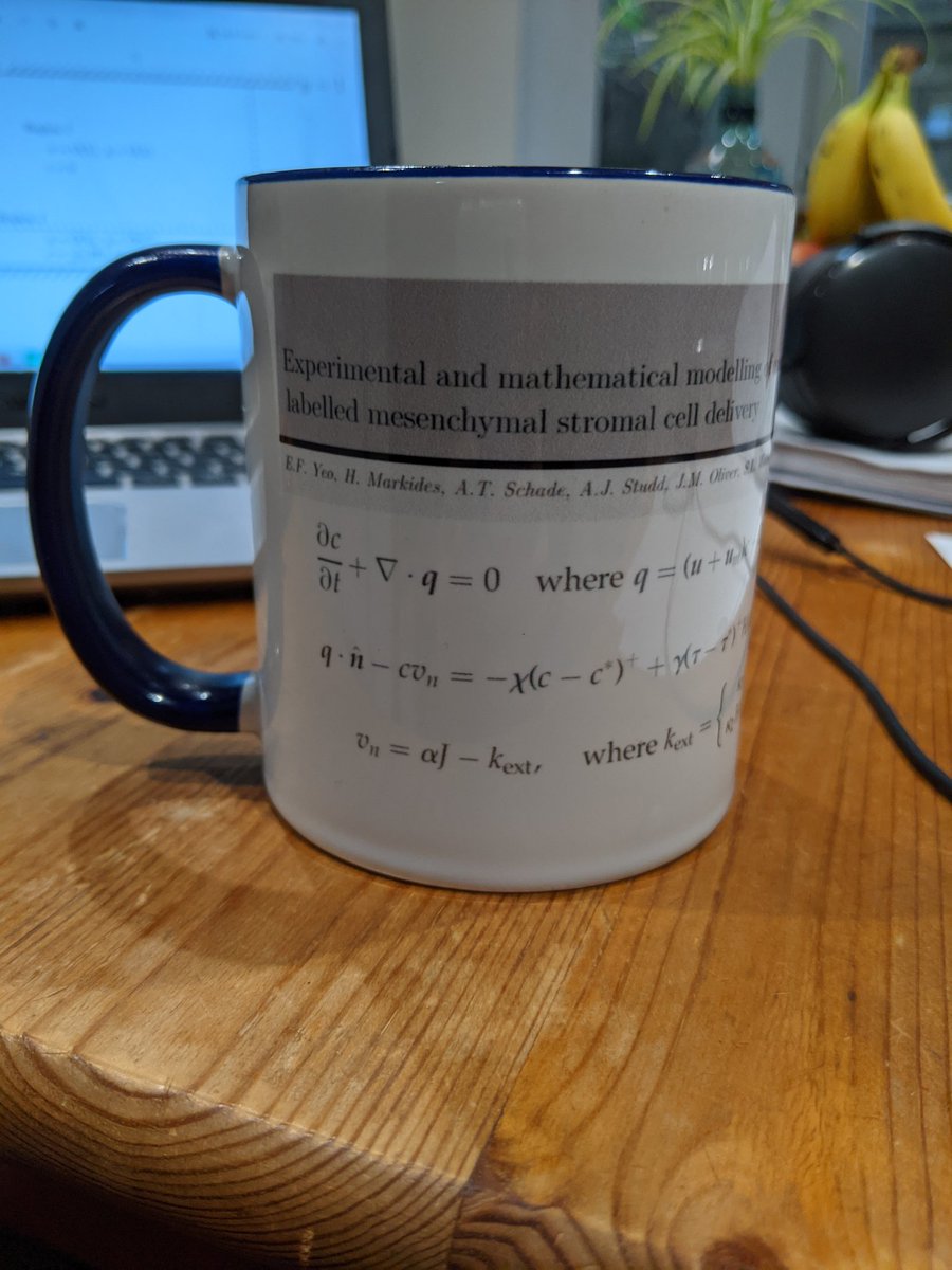 Grateful for my office mates and glad we have now started the tradition of having your favourite equation (or the one which caused the most pain) on a mug once your paper is published!