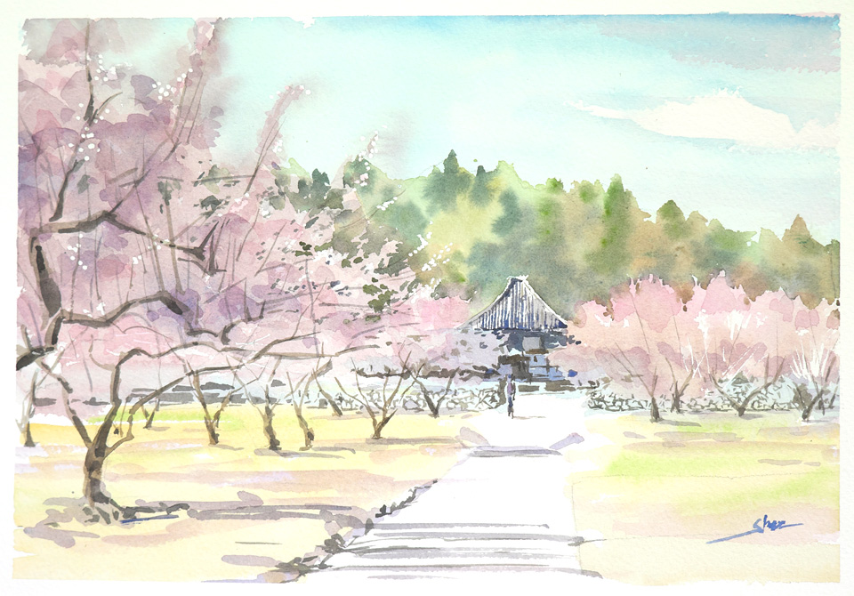 越生健康寺（F4大） 一面梅の花と香りに埋もれた越生盆地に太田道真公