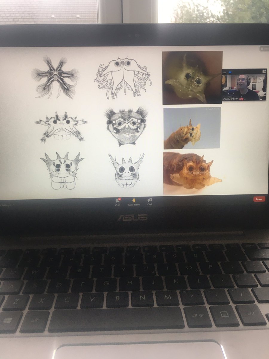 Happy to be joining the rest of the  <a href="/RoyEntSoc/">Royal Entomological Society</a> for <a href="/flygirlNHM/">Dr Erica McAlister</a> #Verrall lecture! #dipteralove