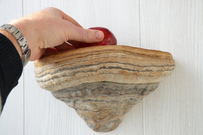 LDimok's tweet photo. Perfect shelves. These wonderful items are made of dried fungus so have amazing natural color and pattern.
Every gorgeous mushroom is individually shaped, so will add rustic beauty and unique touch to any home.
https://t.co/PIz480oyOo https://t.co/r2YuRl0mty