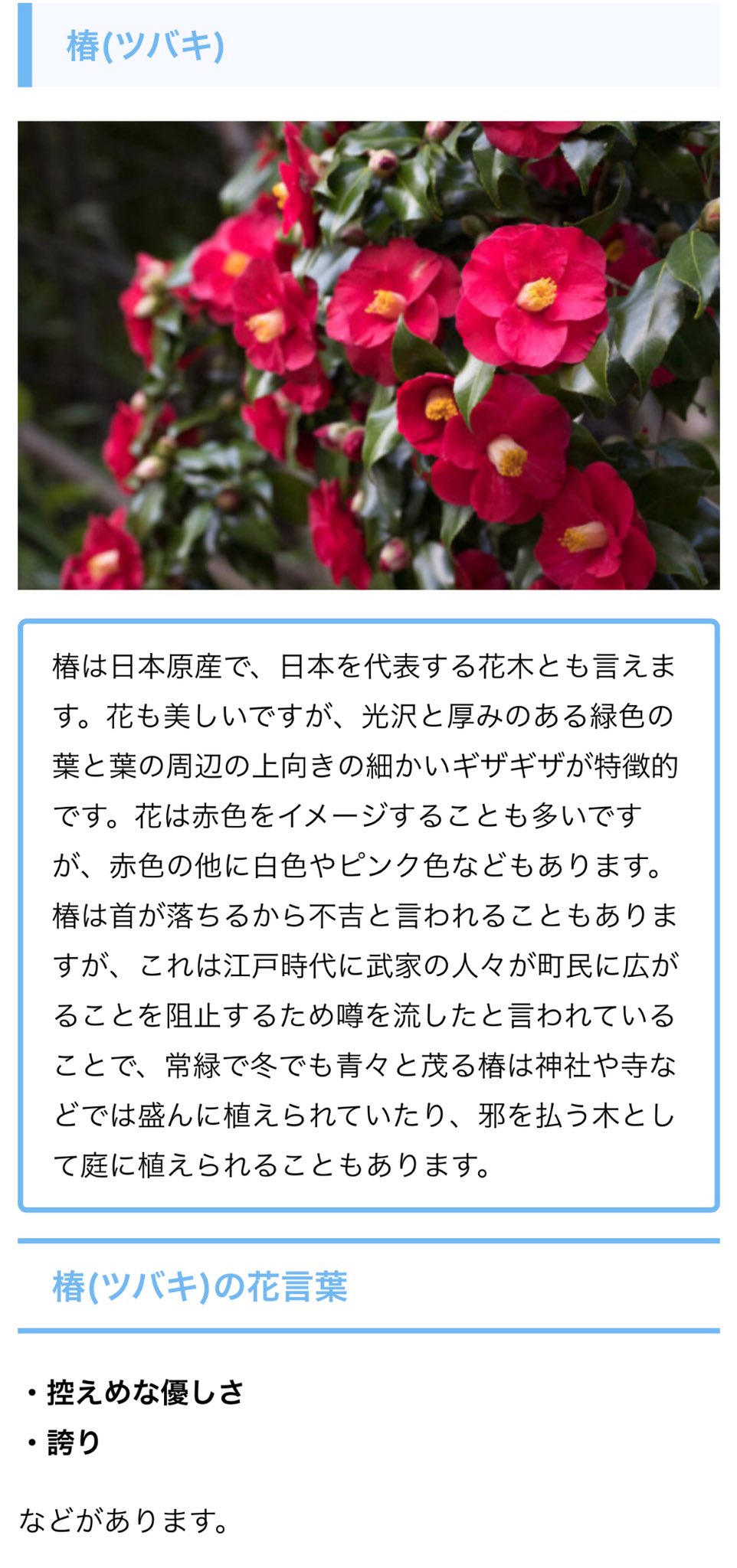 せい 在 Twitter 上 ファンブック ネタバレ 注意 夏油傑の女たちへ 誕生日 2月3日 誕生花 ツバキ 控えめな優しさ 誇り セツブンソウ 人間嫌い 光輝 微笑み ヒイラギ 用心深さ 先見の明 保護 花言葉めちゃくちゃぴったりでは 呪術廻戦 呪術廻