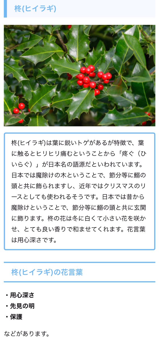 せい ファンブック ネタバレ 注意 夏油傑の女たちへ 誕生日 2月3日 誕生花 ツバキ 控えめな優しさ 誇り セツブンソウ 人間嫌い 光輝 微笑み ヒイラギ 用心深さ 先見の明 保護 花言葉めちゃくちゃぴったりでは 呪術廻戦 呪術廻戦