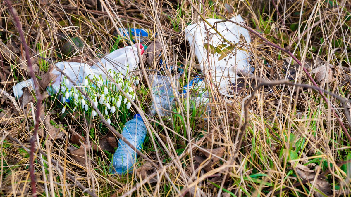 Micro volunteering or doing a small task is an easy way to improve where you walk and improve your wellbeing. You can: 🐸 join a citizen science survey 🌿 prune branches 🚮 pick litter 🛤 clean signs 🧴 oil gates pathsforall.org.uk/lets-walk/walk… #WalkingwithNature #GreenRecovery