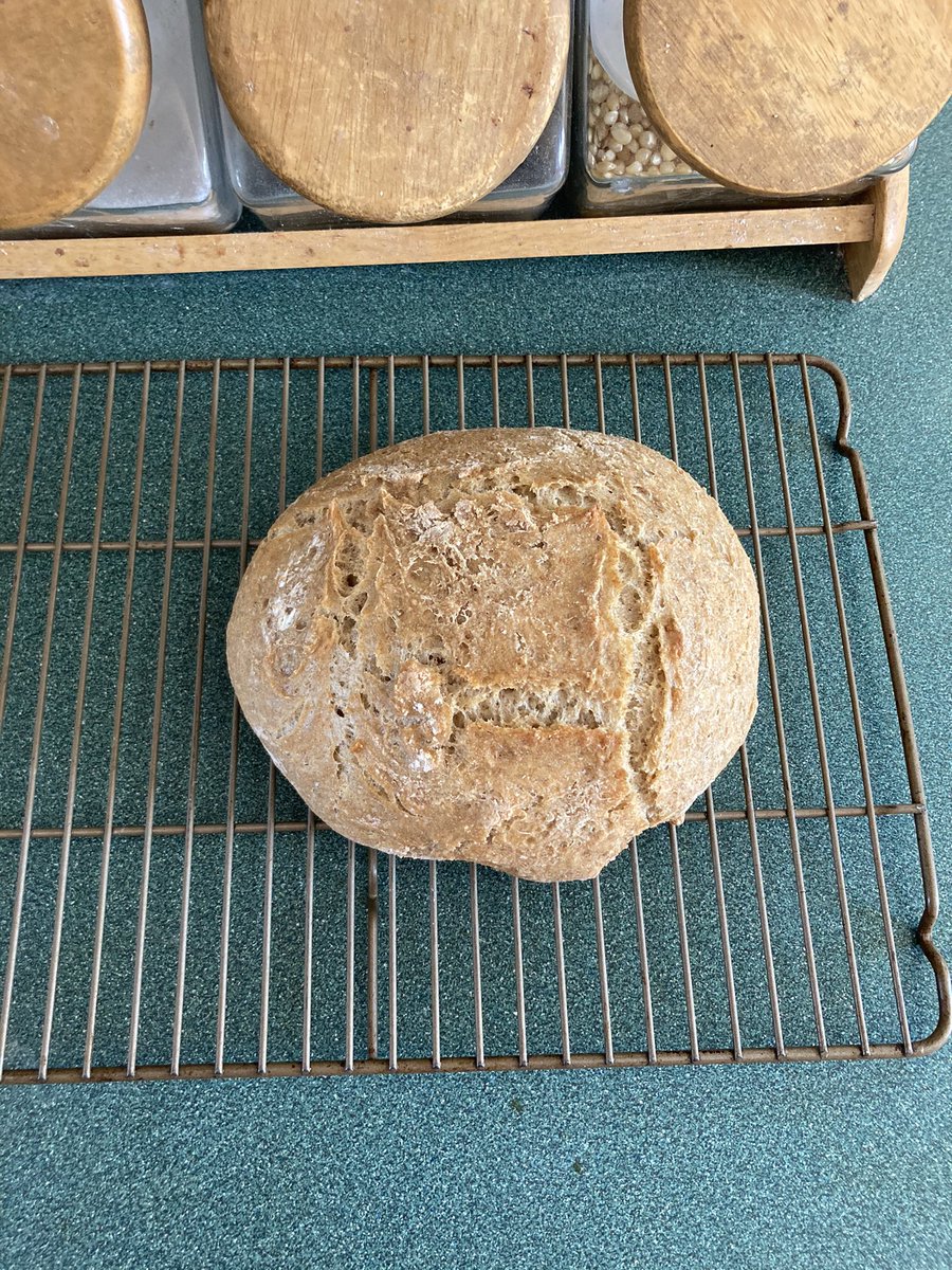 Hadrian Temple tweet media