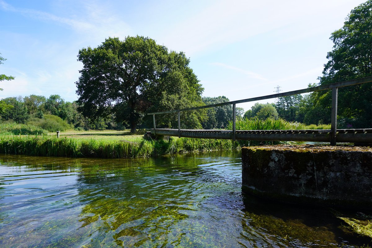 We commit 5% of our pre-tax profits to protecting nature. “If we are to benefit from the use of our natural resources, we must be willing to act to preserve them.” Perk Perkins, Orvis CEO. We also make sure our beats act as a sustainable habitat for wildlife. #WorldWildlifeDay