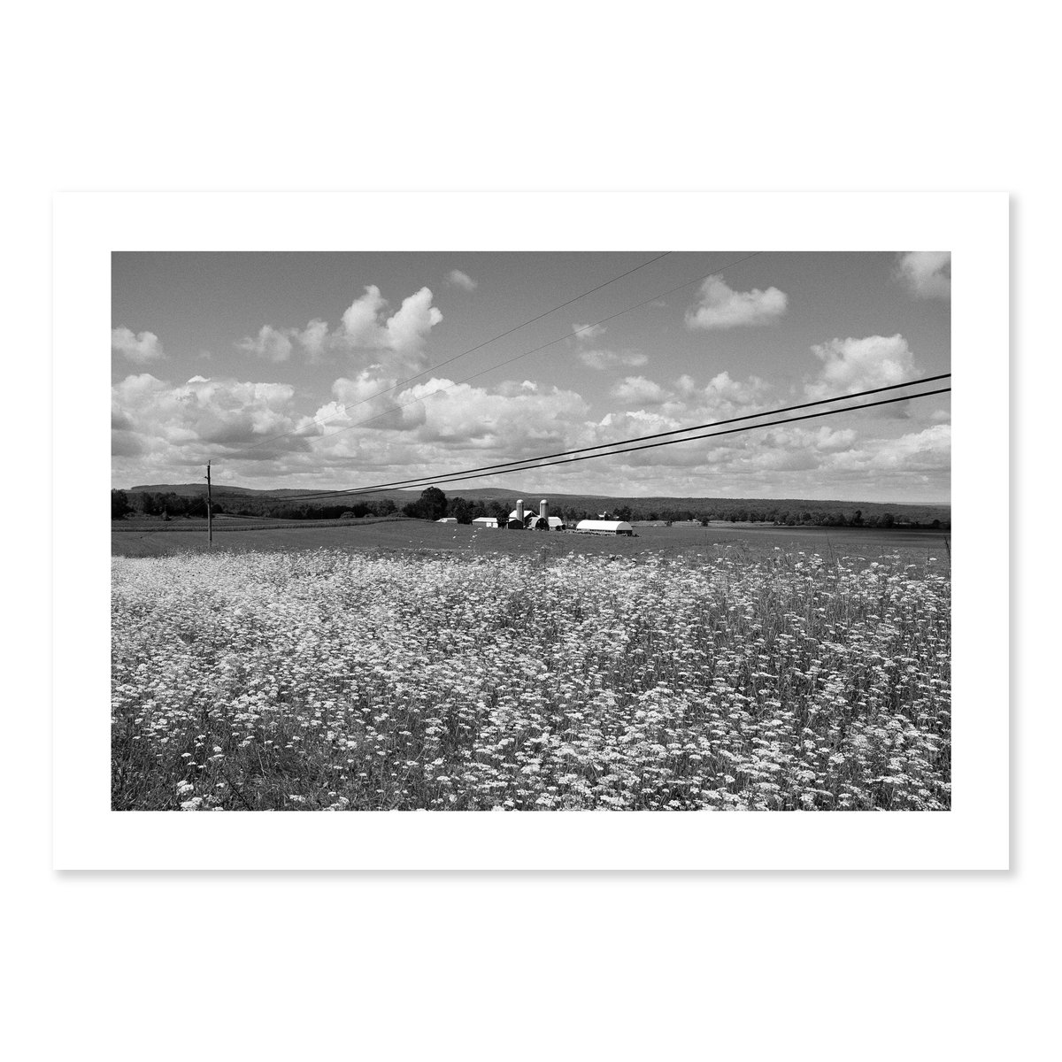 Jones Farm, Remsen, NY. From my project 'The Singing Hills.' 

One of eight A3 exhibition prints, formerly on display <a href="/NorthernEyeFest/">Northern Eye Festival</a> 2017, available to buy. 1 of each available.

£100 + shipping, 50% of proceeds will go to <a href="/OrielColwyn/">Oriel Colwyn</a>.

Full details: edbrydon.com/shop