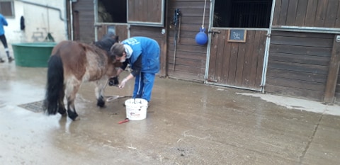 FBB / La vie de nos 3 refuges et des animaux 🏡 tweet media