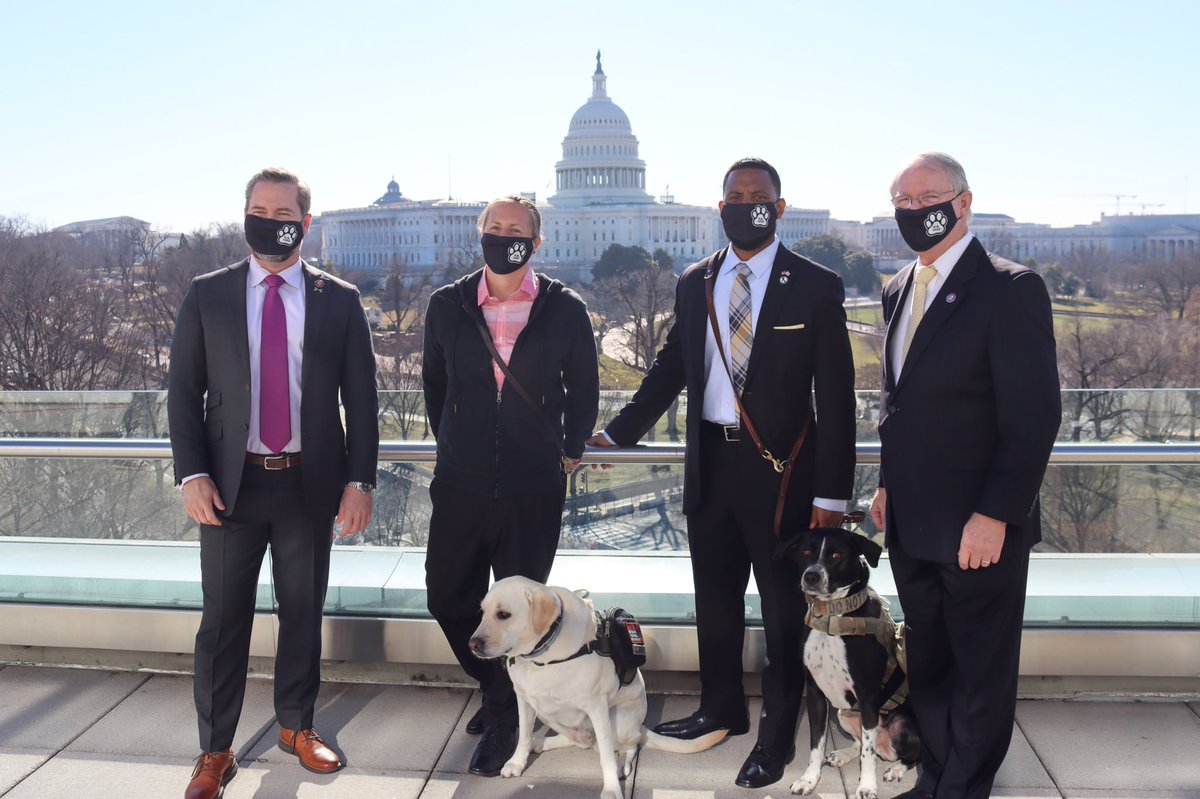 RepRutherfordFL's tweet photo. The time is NOW to pass the PAWS Act to pair veterans suffering from PTSD with Service Dogs. With around 20 veterans taking their own life each day, we can't afford to wait any longer. https://t.co/s02kbZQ6l5
