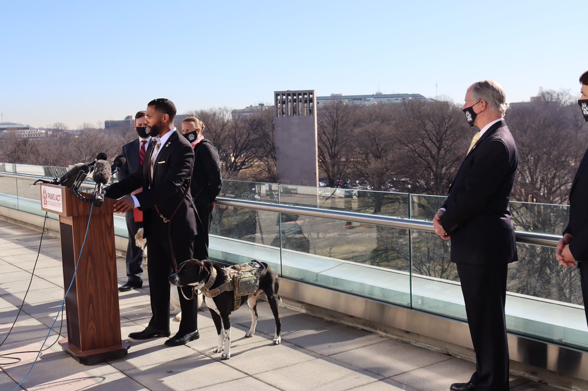 RepRutherfordFL's tweet photo. The time is NOW to pass the PAWS Act to pair veterans suffering from PTSD with Service Dogs. With around 20 veterans taking their own life each day, we can't afford to wait any longer. https://t.co/s02kbZQ6l5
