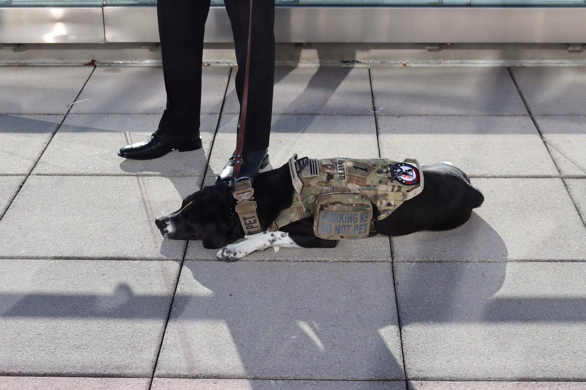 RepRutherfordFL's tweet photo. The time is NOW to pass the PAWS Act to pair veterans suffering from PTSD with Service Dogs. With around 20 veterans taking their own life each day, we can't afford to wait any longer. https://t.co/s02kbZQ6l5