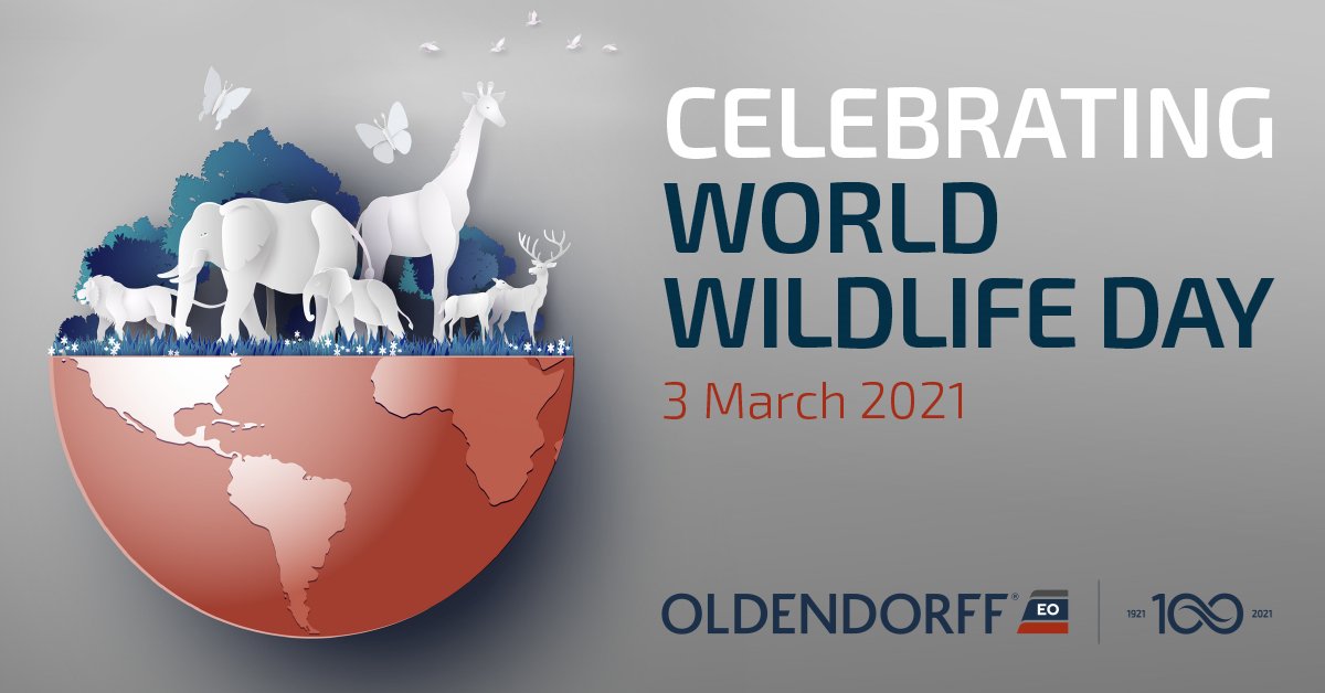oldendorff1921's tweet photo. "Sustaining all life on Earth" encompasses wild animal and plant species, both at sea and land. Oldendorff Carriers celebrates 100 years in shipping with a clear goal: achieve zero emissions and decarbonise our industry. #WorldWildlifeDay #OE100 https://t.co/zN90DRxOLD