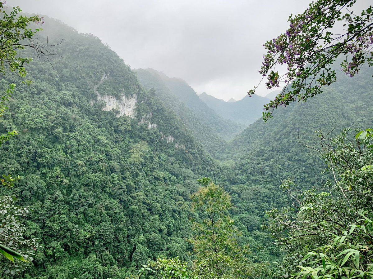 Ollie Wearn tweet media