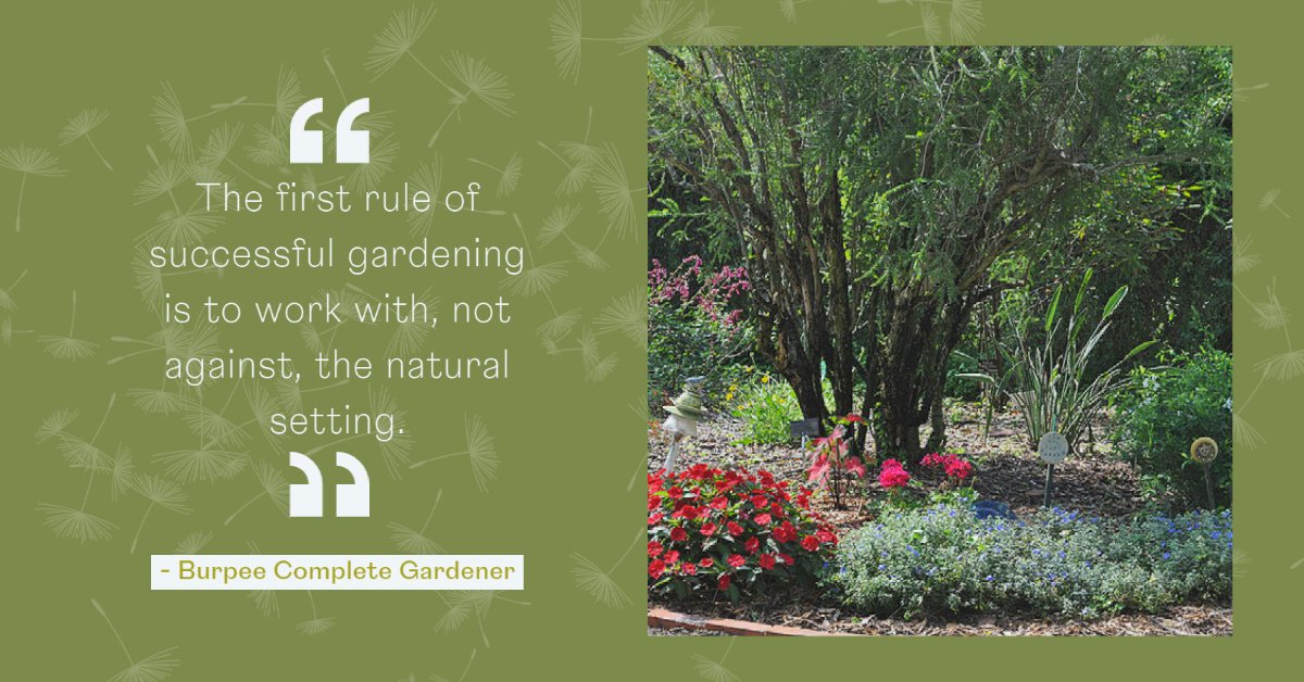 USF Botanical Gardens (@gardensusf) on Twitter photo 